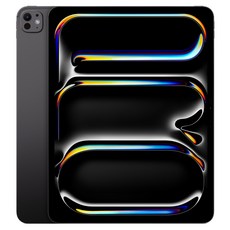 Apple 2025 아이패드 프로 13(M5 모델) Nano-texture 글래스, 스페이스 블랙, 2TB, Wi-Fi+Cellular