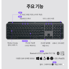 로지텍 MX KEYS S 무선 일반형 키보드, 페일그레이, 920-011599