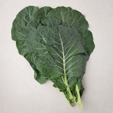 친환경 즙용 케일, 500g, 1개