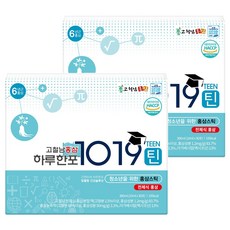 고철남홍삼 하루한포 1019틴 홍삼 스틱, 30회분, 300ml, 2개 10ml, 60개입