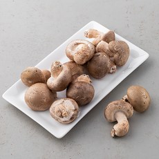 무농약 인증 국내산 추재버섯, 200g, 1팩