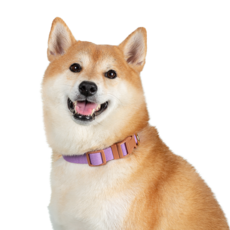 15034881887845213-ef624580-0a1a-435b-86d0-4f11fb8109b4.png