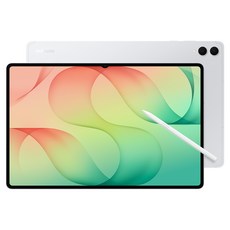 삼성전자 갤럭시 탭 S12 Ultra 태블릿PC SM-X940NZSEKOO, 실버, 512GB, Wi-Fi