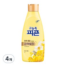 피죤디즈니