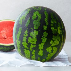 농협 당도선별 수박, 6kg 미만, 1개