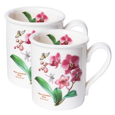 포트메리온 보타닉가든 BF 머그컵 0.26L, 랜덤발송, 2개