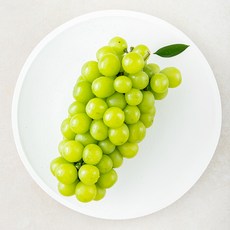 다조은 비파괴당도선별 샤인머스켓, 1팩, 1kg