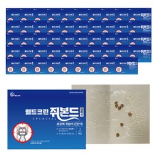 월드크린 노런 쥐본드 스페셜, 2매입, 50개