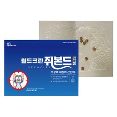 월드크린 노런 쥐본드 스페셜, 2매입, 1개