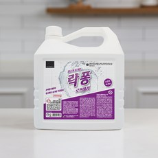 락퐁 욕실세정제 로즈마리, 4L, 1개