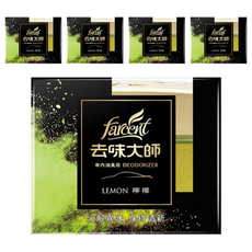 去味大師 車用消臭易 檸檬薄荷, 120g, 5個