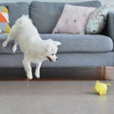 1660171943363910-88167fbe-734e-43c5-ac3c-7da9d8fe94a3.jpg