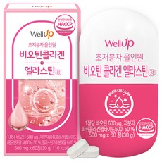 로엘 웰업 초저분자 올인원 비오틴콜라겐 엘라스틴정 30g, 60정, 1개