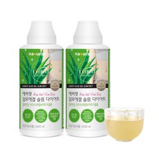 내츄럴플러스 에버핏 알로에겔 슬림 다이어트, 1000ml, 2개