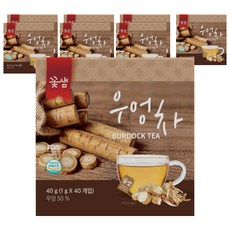 꽃샘 우엉차 40p, 40g, 8개입