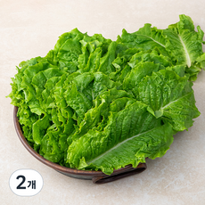 국내산 청상추, 1kg, 2개 1kg, 2개