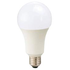 KAO'S 高氏 北極光球泡 16W 白光 E27燈頭 LED燈泡, 1個