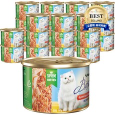 고양이습식사료-추천-상품