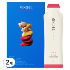 푸드올로지 마인드풀 레드비트 진저샷, 300g, 2개