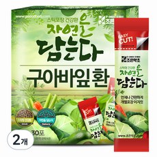 조은약초 자연을 담는다 프리미엄 구아바잎환 스틱, 90g, 2개