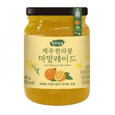 오뚜기 제주담음 한라봉 마말레이드 잼, 300g, 1개