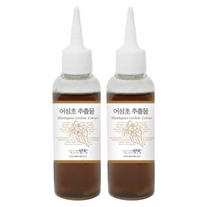 맑을담 어성초 추출물 뷰티소품 100ml, 2개