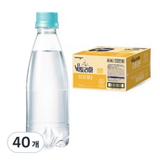 더빅토리아 플레인, 250ml, 60개 세종