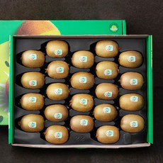 제스프리 그린키위 선물세트, 2.4kg 내외(중과), 1세트