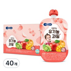 베베쿡 처음먹는 유기농 과일 100ml, 40개