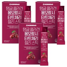 참앤들황토농원 탱글 콜라겐 몽모랑시 타트체리 젤리스틱, 3개 300g, 3개