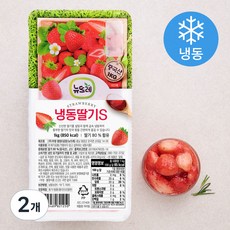 뉴뜨레 가당 딸기 슬라이스 (냉동), 1kg, 2개