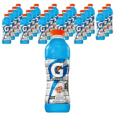 게토레이 블루볼트 펫, 600ml, 춘천