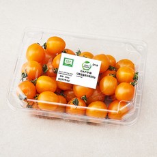 온리팜 GAP 인증 주황 대추방울 토마토, 500g, 1팩