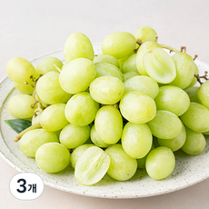 PSK 페루 씨없는 청포도, 1.2kg, 3개