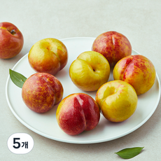 당찬 새콤달콤 왕자두 8개입, 5개, 1.1kg