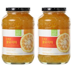 초록원 꿀유자차, 1kg, 1개입, 2개 1kg, 2개, 2개