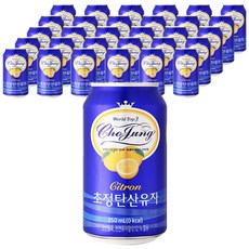 초정탄산수 탄산음료 유자, 350ml, 포항