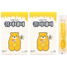 꿀이데이 휴대용 아카시아꿀 25p, 2개, 300g