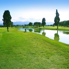 100인치롤스크린