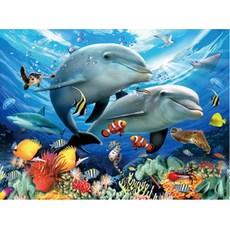 노트북보호스티커