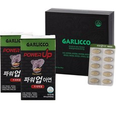 갈릭꼬 파워업아연 프리미엄, 60정, 2개입