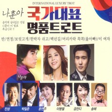 디스코드니트로