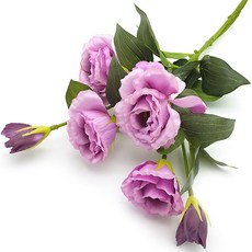 bc96d415-46c6-4c2f-bd60-1cd829bd931a.jpg