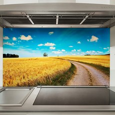 주방아트보드일러스트