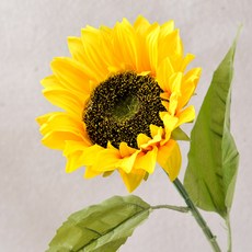 해바라기올래정원