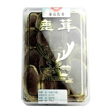녹이단