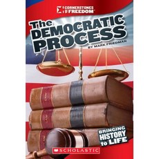 The Democratic Process Paperback, Scholastic