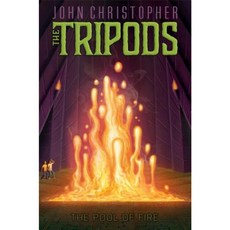 The Pool of Fire Hardcover, Aladdin Paperbacks