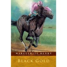 Black Gold Paperback, Aladdin Paperbacks