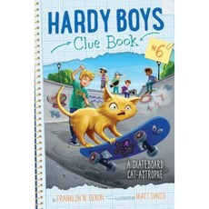 A Skateboard Cat-Astrophe Paperback, Aladdin Paperbacks
